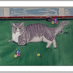 3.5 catt final framed