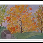 AA Changing of Leaves